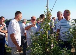 Дискусія в саду, у центрі видатний польський садівник Тадуеш Пагач